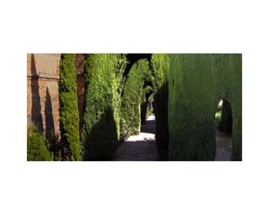 Alhambra Garden 1a