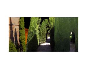 Alhambra Garden 2