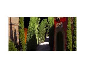 Alhambra Garden 3