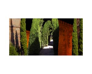 Alhambra Garden 4
