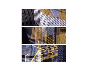 Bergamot Brown Triptych