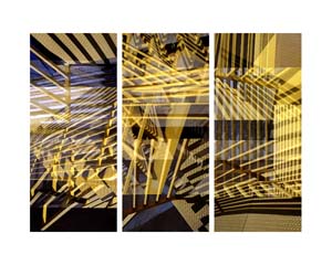 Bergamot Yellow Triptych