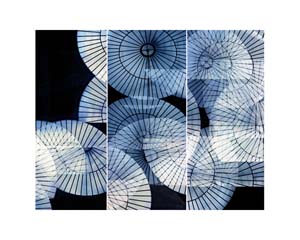 Berkeley Skylight Triptych