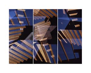 Carmy House Canyon Triptch