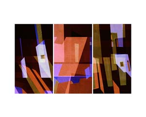 Joshua Tree Triptych Orange