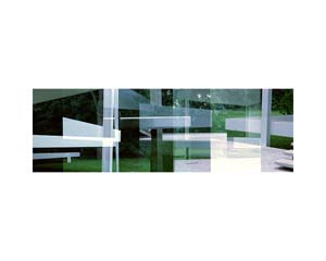 Farnsworth House Twig