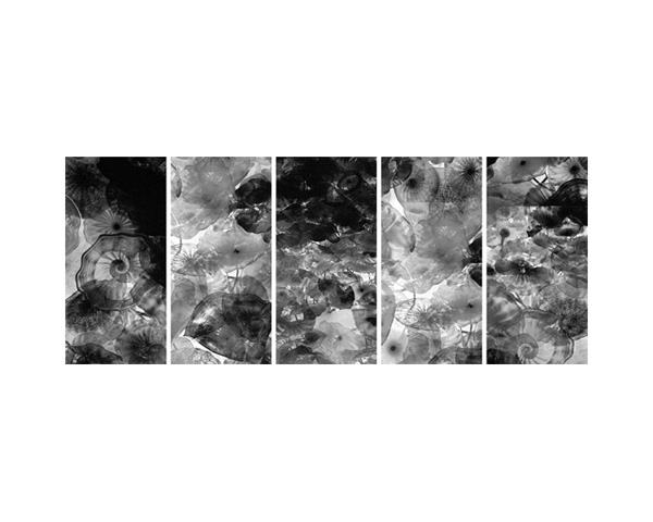 Chihuly Pentaptych B&W