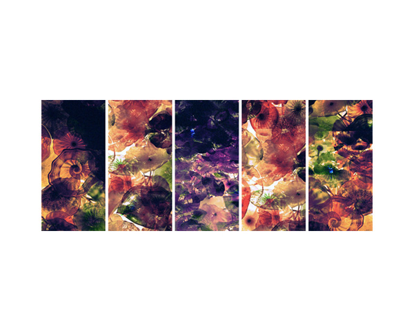 Chihuly Pentaptych Color