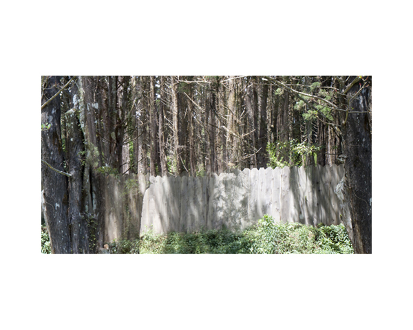 Fence and Woods Costa Rica