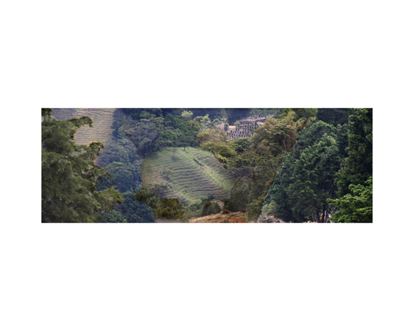 Fields and Clouds 1 CR