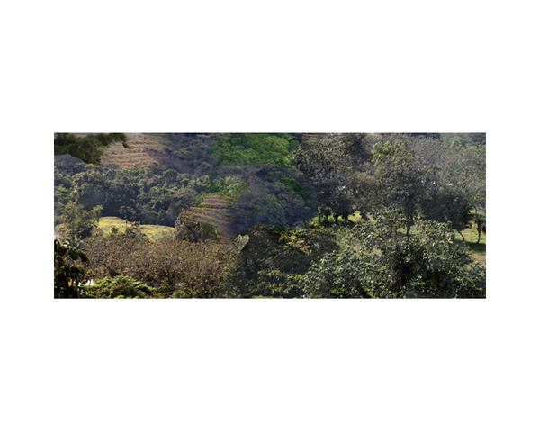 Fields and Clouds 3b CR