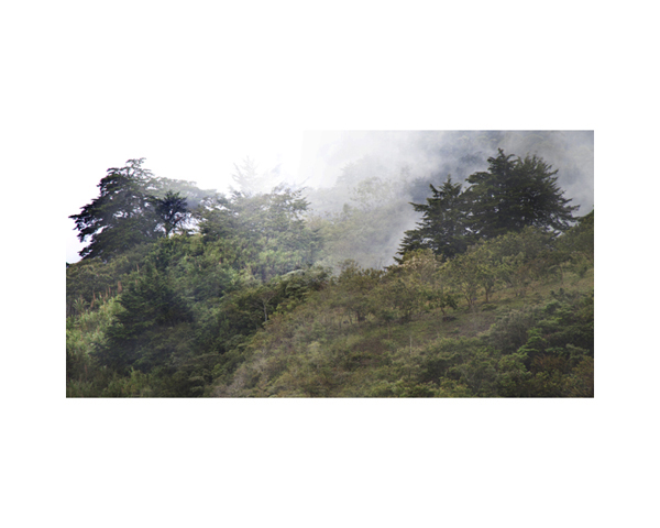 Hillside 1 Costa Rica