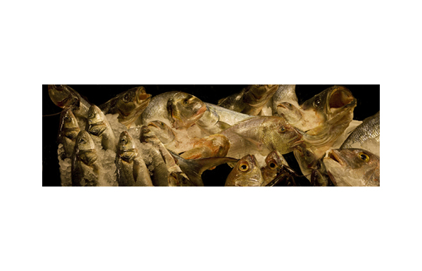 Fish Market Italy