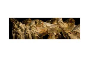 Fish Market Italy