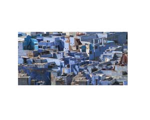 Jodphur Blue City7