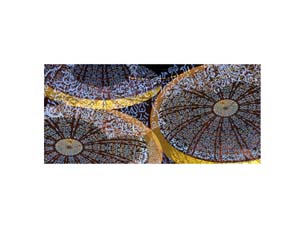 Jodphur Skylight