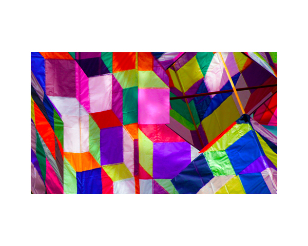 Kites 5