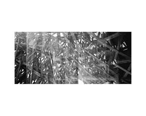 Scaffolding Paris
