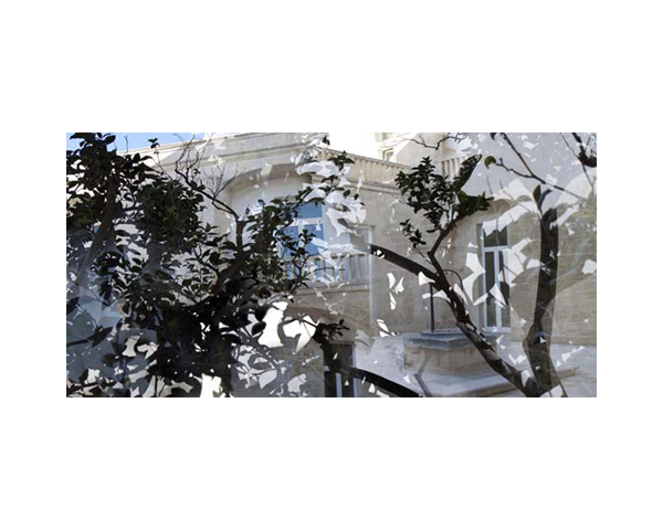 Lecce Museo Storico Trees