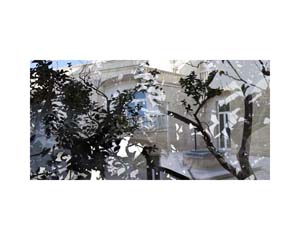 Lecce Museo Storico Trees