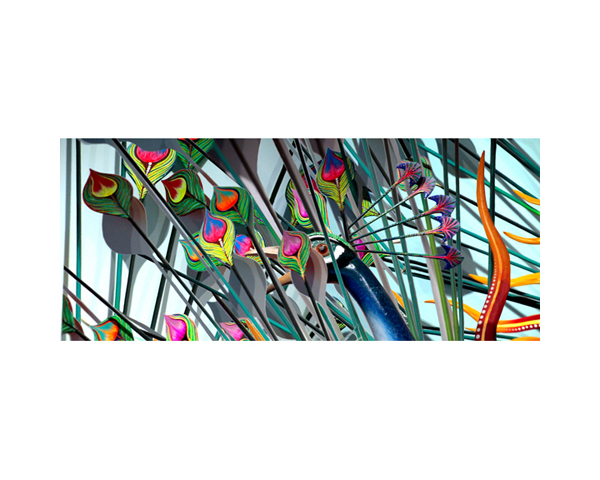 Peacock 1B 