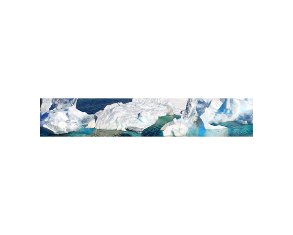 Antarctic 10