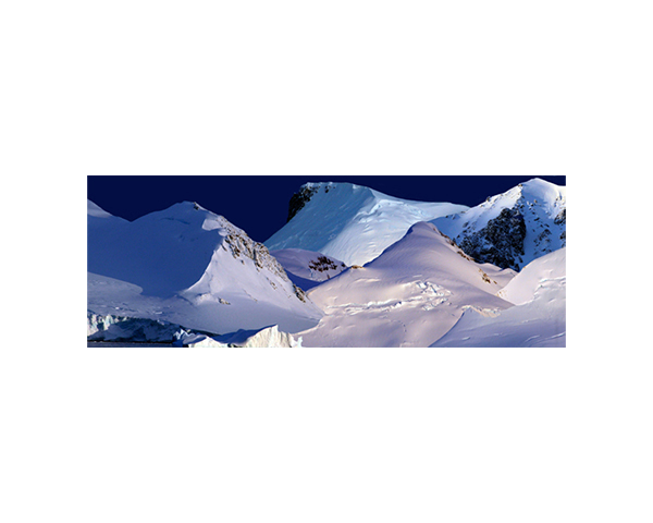 Antarctic 14