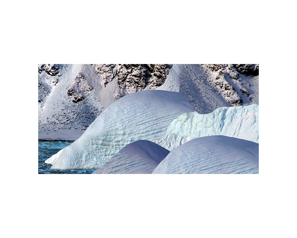 Antarctic 15