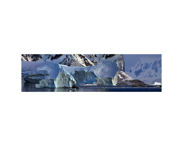 Antarctic 25