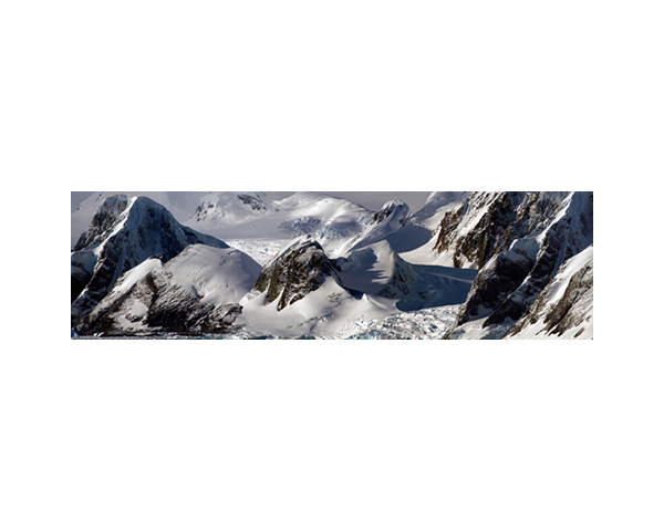 Antarctic 28