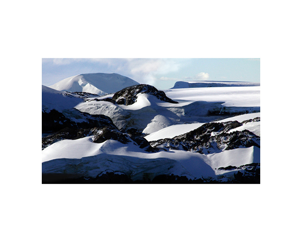 Antarctic 29