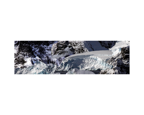 Antarctic 31