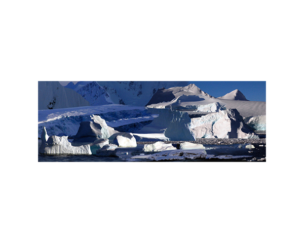 Antarctic 35