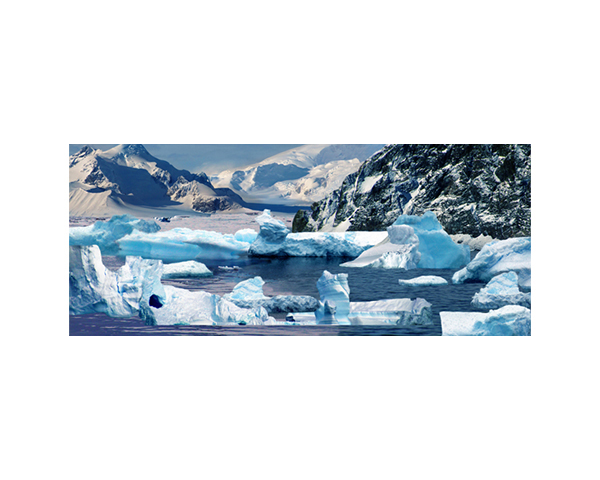 Antarctic 36