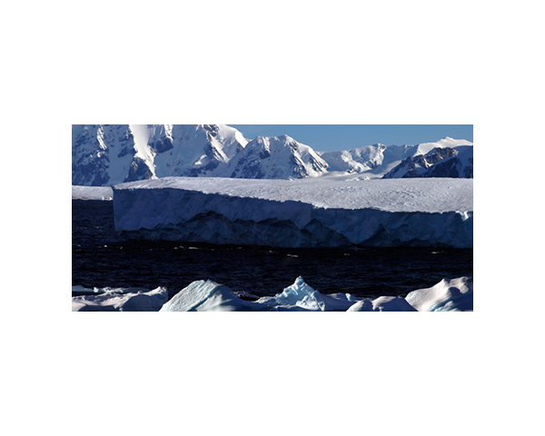 Antarctic 4