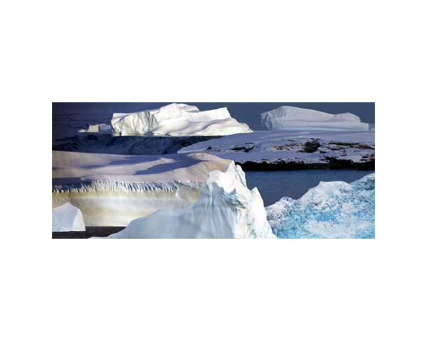 Antarctic 40