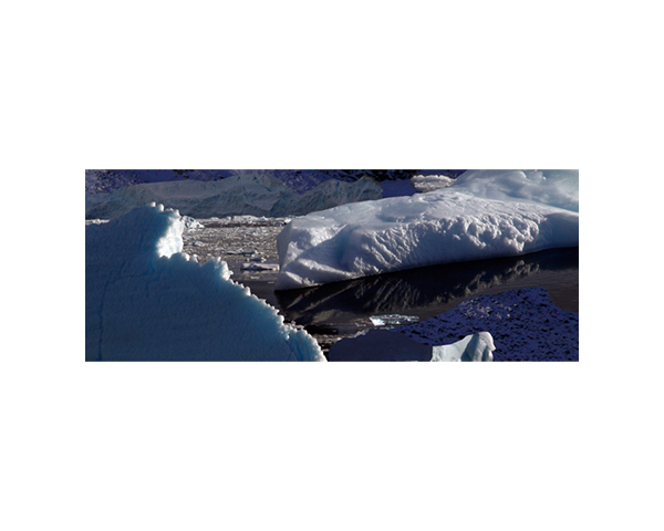 Antarctic 41