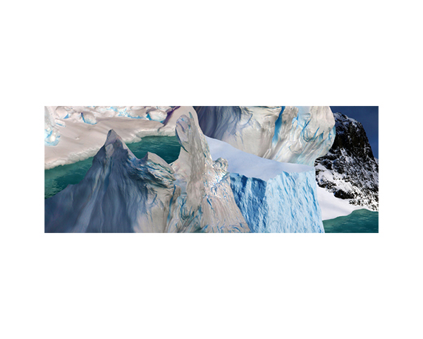 Antarctic 43