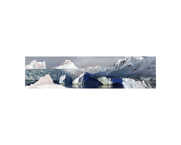 Antarctic 46