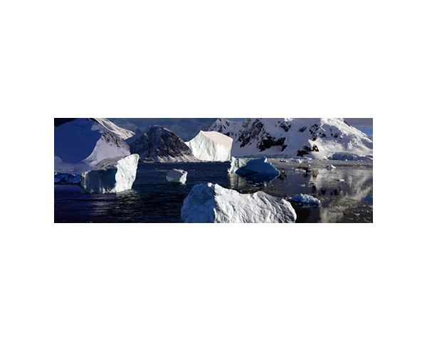 Antarctic 47