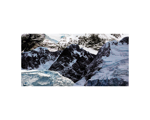 Antarctic 50