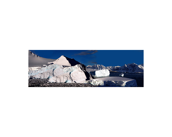 Antarctic 8