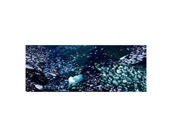 Antarctic Ice flow 2