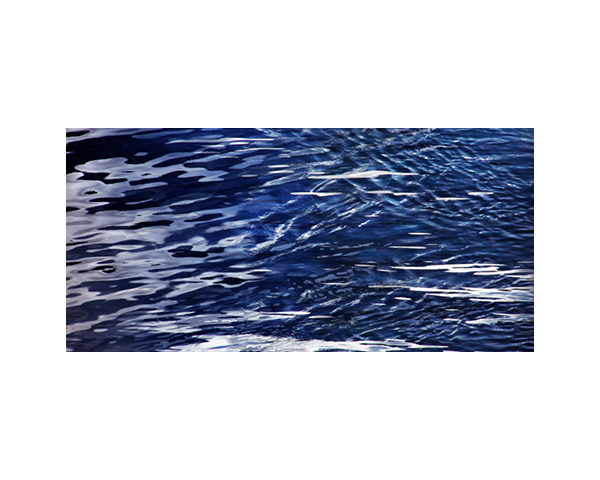 Antarctic Waves 1