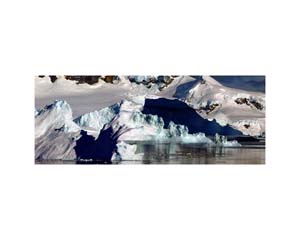Antarctic 1