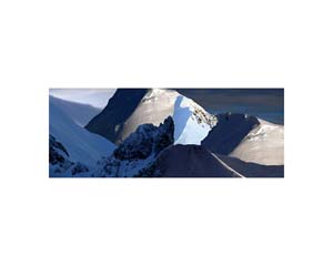 Antarctic 12