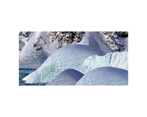 Antarctic 15