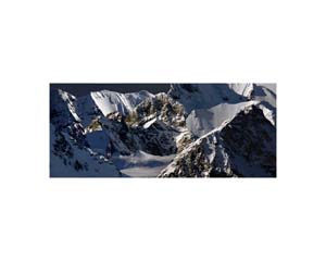 Antarctic 16