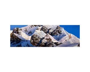 Antarctic 22