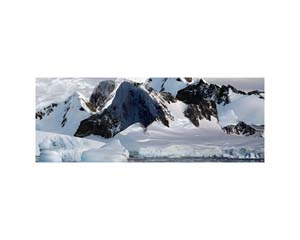 Antarctic 23